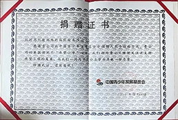 青少年发展基金会“希望小学”项目捐赠证书